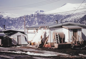 A polar bear skin is stretched out against the side of a house in Pangnirtung, May 1993. (PHOTO BY JANE GEORGE)