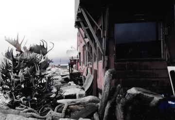 Antlers are stacked up by the shore of the Bering Sea in Nome, Alaska. (PHOTO BY JANE GEORGE)
