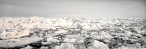 At the floe edge, ice churns constantly. (PHOTO BY JANE GEORGE)