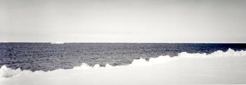 At the flow edge off Bylot Island. Narwhals surface to the night. (PHOTO BY JANE GEORGE)