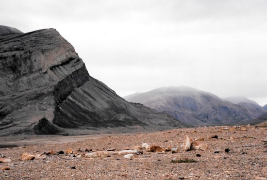 An ancient tent ring not far from Tanquary Fiord/ (PHOTO BY JANE GEORGE)