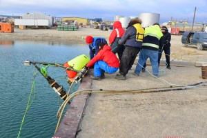 Researchers and community volunteers help pull the ocean observatory out of the water. (PHOTO COURTESY OF OCEANS NETWORKS CANADA)