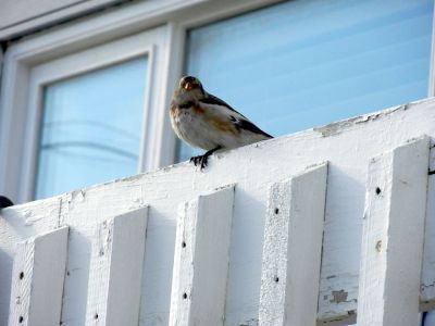 10678842_10203881764716583_2111731342590643829_n