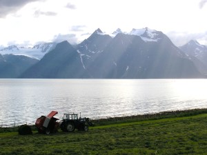 Mountains, fields and fiords, all above the Arctic Circle. (PHOTO BY JANE GEORGE)
