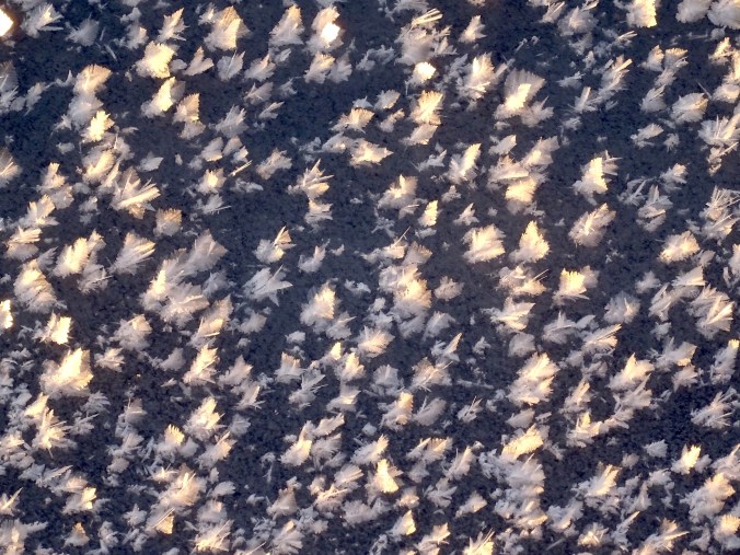 frost_flowers3