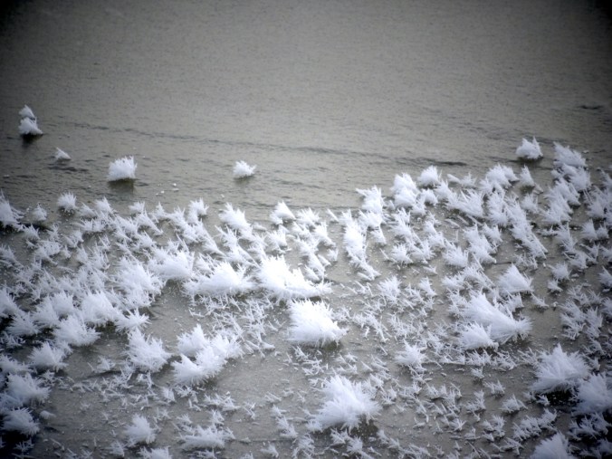 frost_flowers.jpg