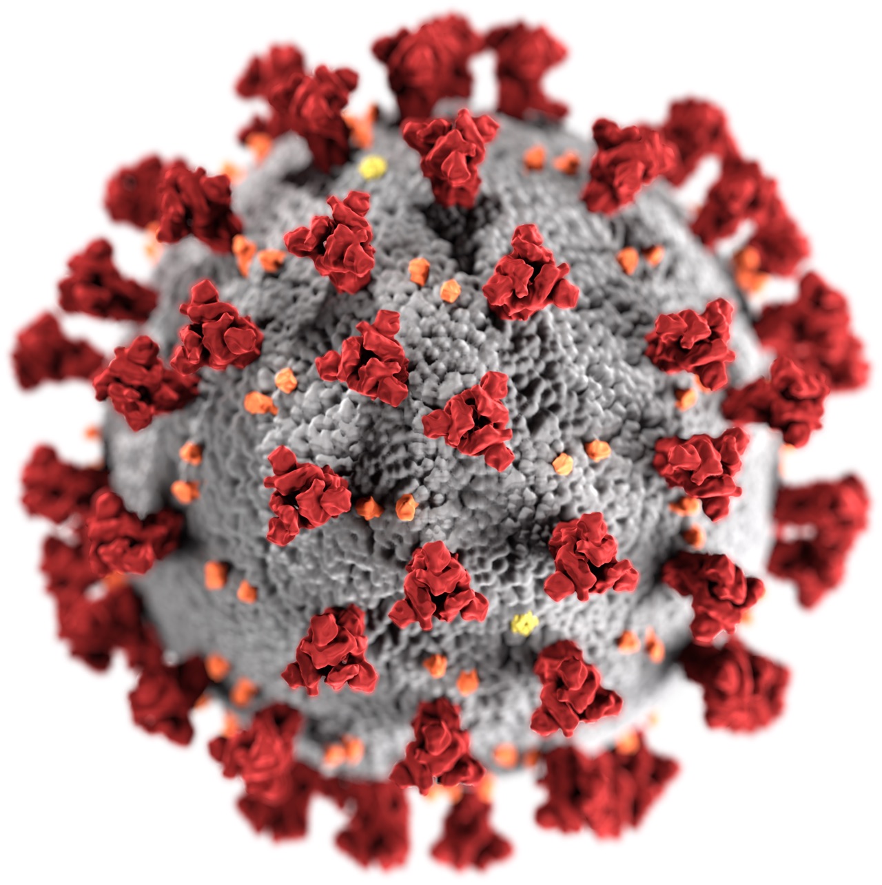 coronavirus-1.jpg